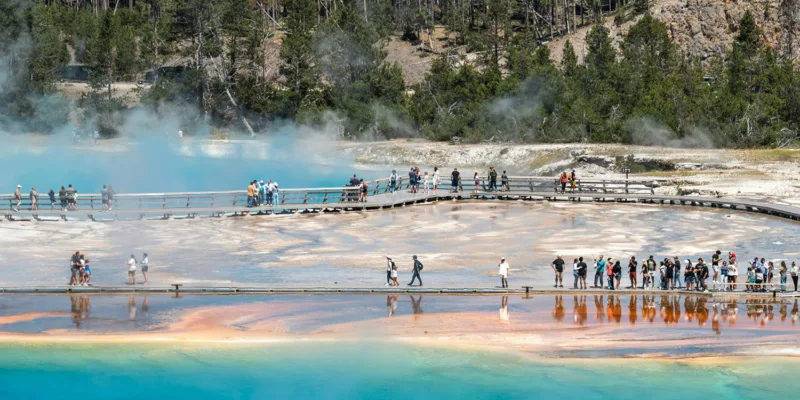 People walk on a boardwalk above the colorful hot springs and steam of Grand Prismatic Spring in Yellowstone National Park, with a forest in the background.