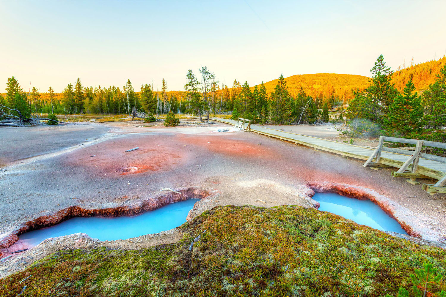 Two blue hot springs with red and brown edges sit in a rocky area surrounded by trees and a wooden walkway, under a clear sky and warm sunlight in a natural landscape.