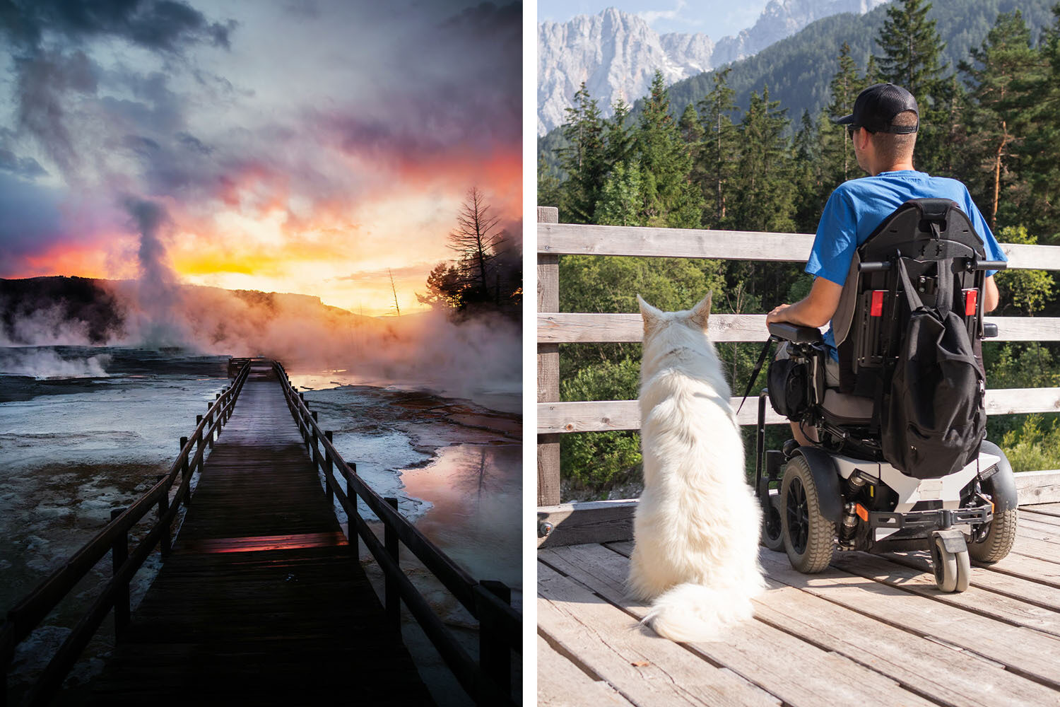 Split image: Left shows a wooden walkway leading through steam at sunset. Right shows a man in a wheelchair and a white dog on a wooden deck, overlooking a forest and mountains.