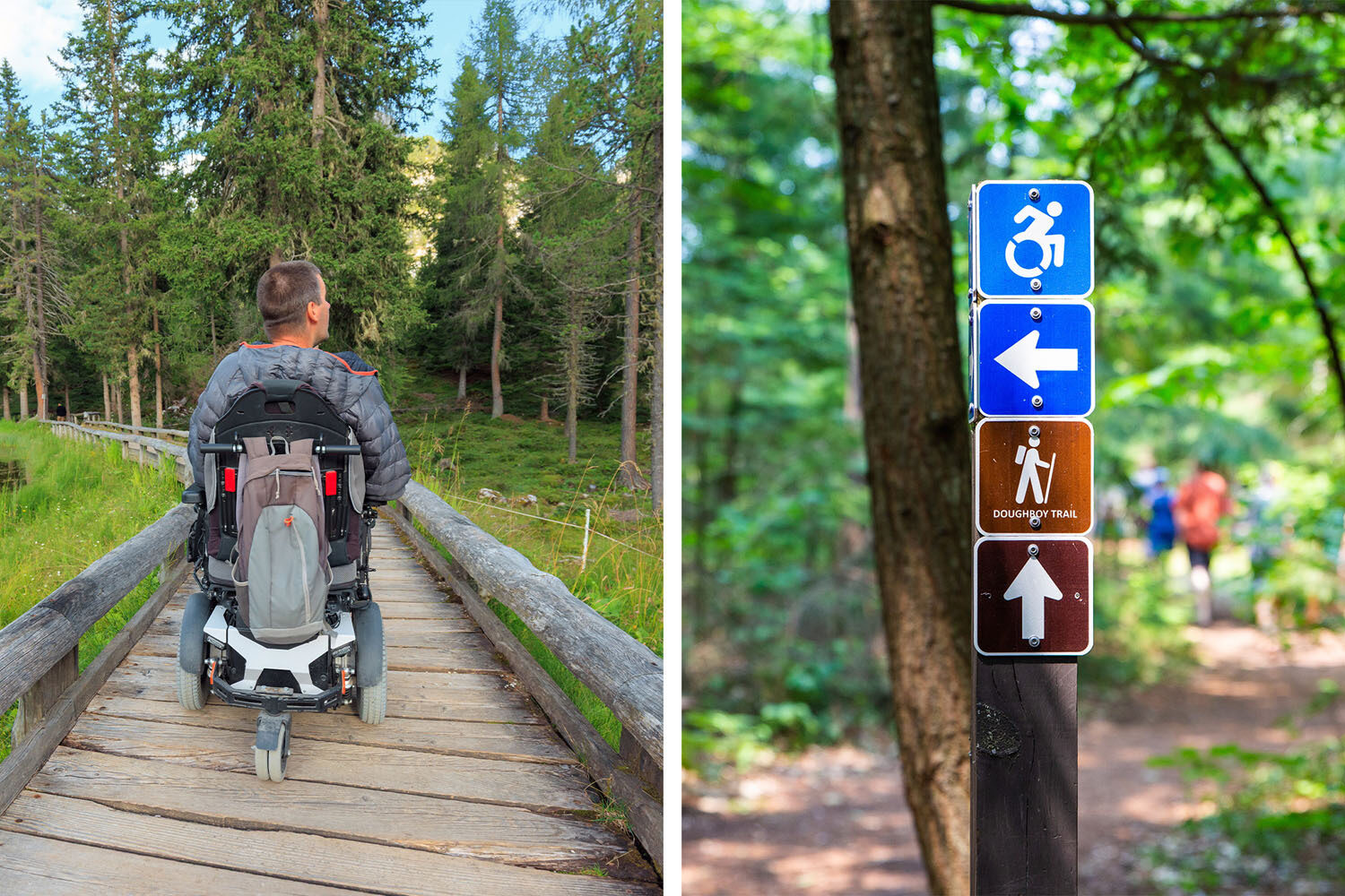 A person in a wheelchair moves along a wooden path in a forest. Next to it, a sign shows accessible and hiking trail directions amid green trees.