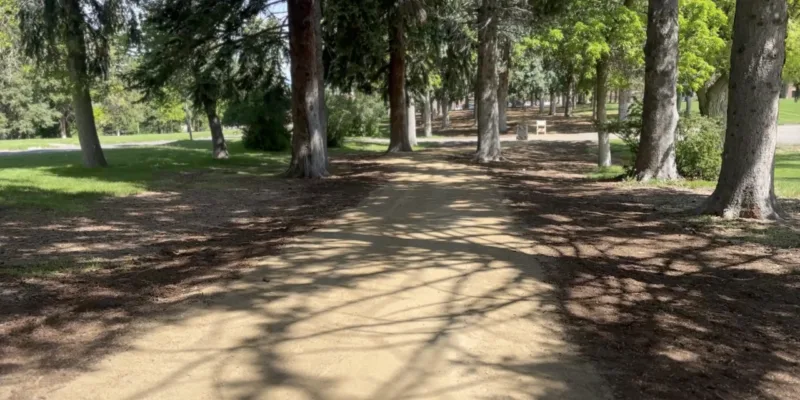 A sunlit dirt path runs through a park lined with tall trees, casting dappled shadows on the ground. Benches and green grass are visible in the background.