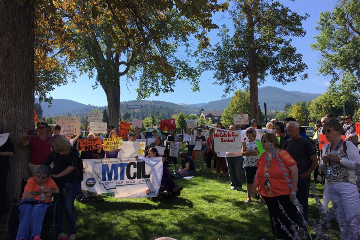 A group of people holding signs in a grassy area.