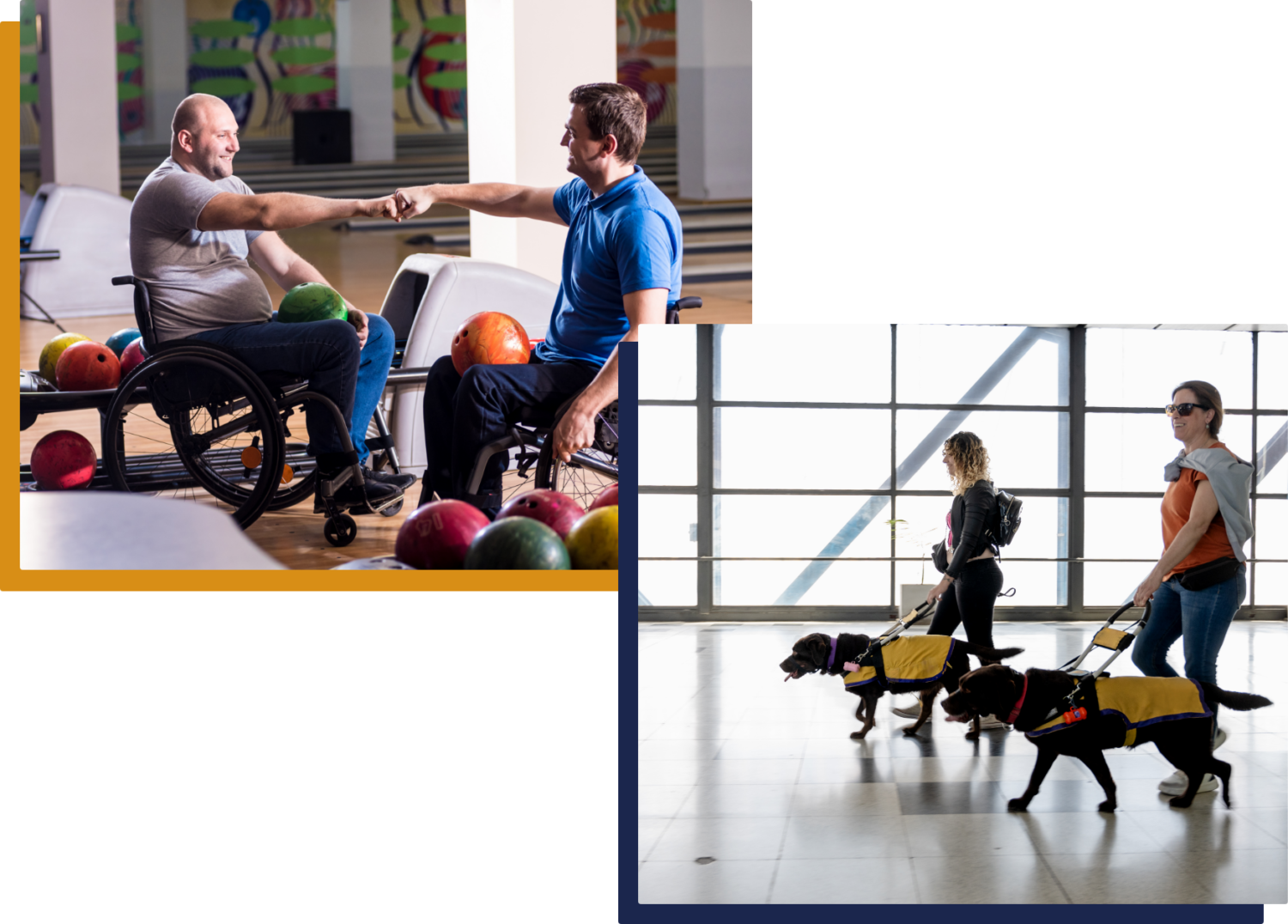 Two men in wheelchairs fist-bump at a bowling alley. Below, two women walk with guide dogs wearing vests in a bright indoor space.